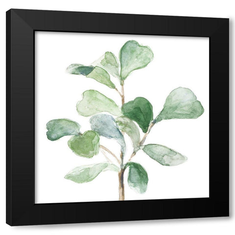 Fiddle Fig Leaf Plant I Black Modern Wood Framed Art Print with Double Matting by Loreth, Lanie