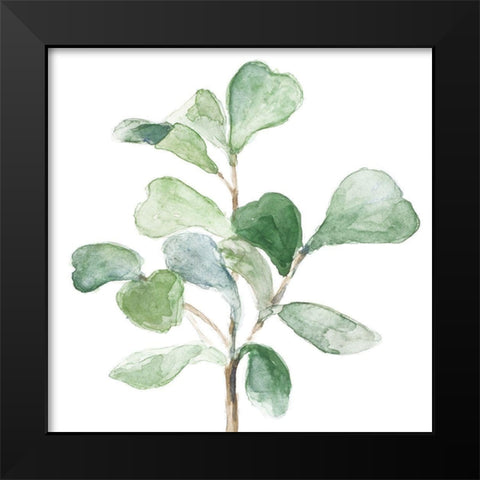 Fiddle Fig Leaf Plant I Black Modern Wood Framed Art Print by Loreth, Lanie