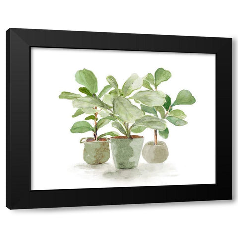 Fiddle Fig Trio Black Modern Wood Framed Art Print by Loreth, Lanie
