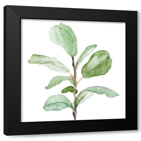 Fiddle Fig Leaf Plant II Black Modern Wood Framed Art Print by Loreth, Lanie