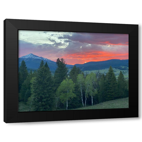 Sunset View From The Cabin Black Modern Wood Framed Art Print by Coppel, Anna