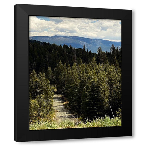 Mountain Stream Black Modern Wood Framed Art Print with Double Matting by Coppel, Anna