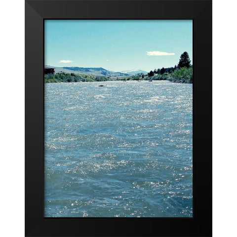 Natures Beauty Black Modern Wood Framed Art Print by Coppel, Anna