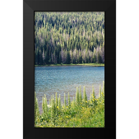 Hidden Lake Black Modern Wood Framed Art Print by Coppel, Anna