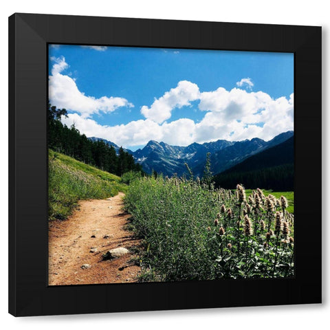 Lovely Path Black Modern Wood Framed Art Print with Double Matting by Coppel, Anna
