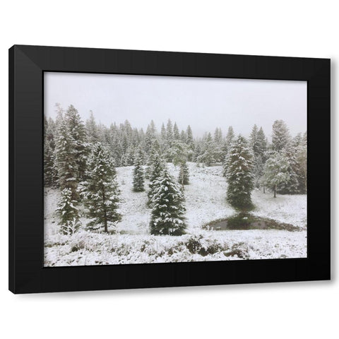 Dusting of Snow Black Modern Wood Framed Art Print by Coppel, Anna