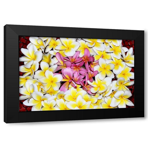 Floating Petals Black Modern Wood Framed Art Print by Coppel, Anna