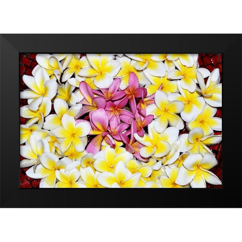 Floating Petals Black Modern Wood Framed Art Print by Coppel, Anna