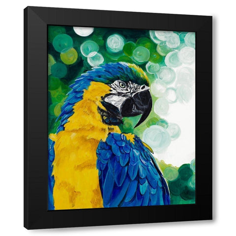 Brilliant Parrot Black Modern Wood Framed Art Print with Double Matting by Goodrich, Chelsea