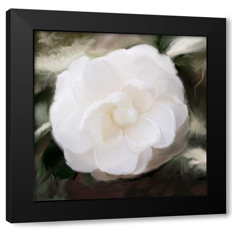White Flower Black Modern Wood Framed Art Print with Double Matting by Meneely, Dan