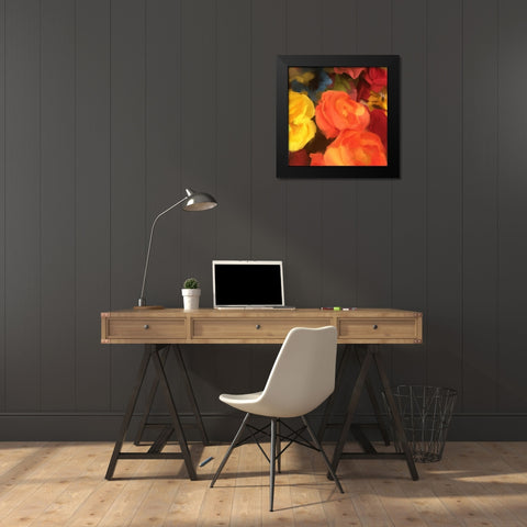 Rose Blooms Black Modern Wood Framed Art Print by Meneely, Dan