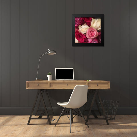 Pink Roses Black Modern Wood Framed Art Print by Meneely, Dan
