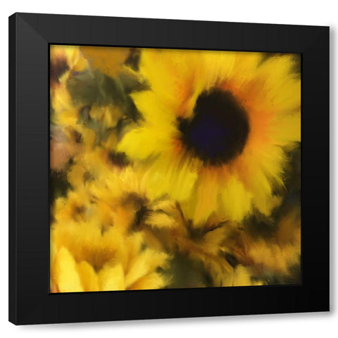 Sunflower Black Modern Wood Framed Art Print with Double Matting by Meneely, Dan