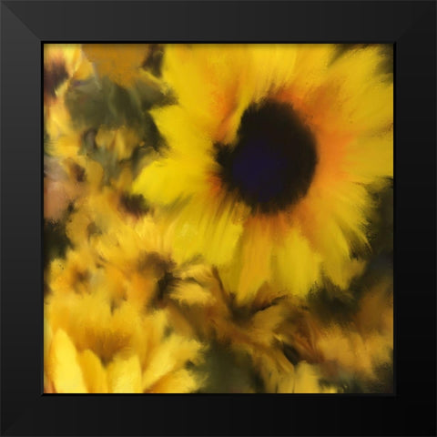Sunflower Black Modern Wood Framed Art Print by Meneely, Dan