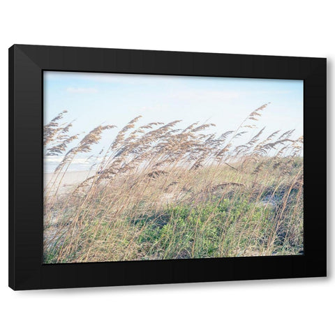 Eastern Beach Grass I Black Modern Wood Framed Art Print by Bonnett, Stede