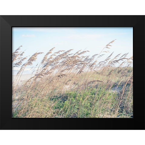 Eastern Beach Grass I Black Modern Wood Framed Art Print by Bonnett, Stede