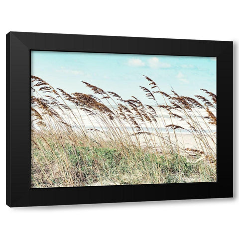 Eastern Beach Grass II Black Modern Wood Framed Art Print by Bonnett, Stede