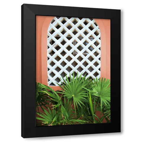 Mexican Fan Palms Black Modern Wood Framed Art Print by Wilson, Kali
