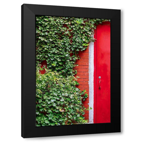 Red Garden Door Black Modern Wood Framed Art Print by Bill Carson Photography