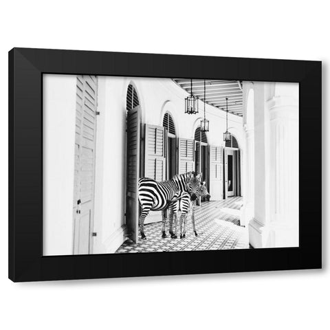 Zebra Hotel Black Modern Wood Framed Art Print by Mansfield, Kathy