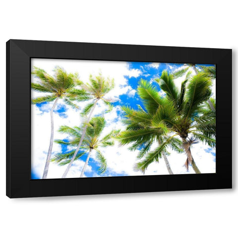 Hawaii Oahu Palms Black Modern Wood Framed Art Print by Bill Carson Photography