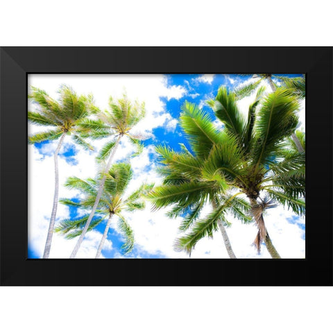 Hawaii Oahu Palms Black Modern Wood Framed Art Print by Bill Carson Photography