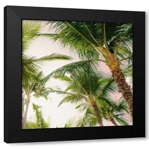 Bright Oahu Palms I Black Modern Wood Framed Art Print with Double Matting by Bill Carson Photography
