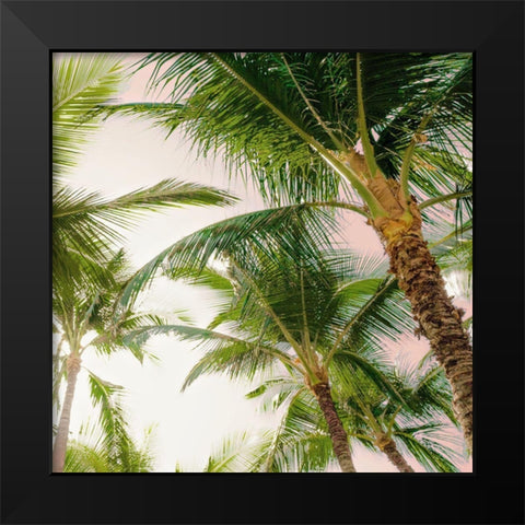 Bright Oahu Palms I Black Modern Wood Framed Art Print by Bill Carson Photography
