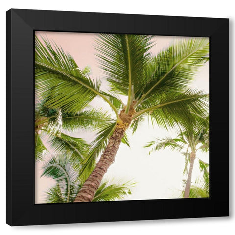 Bright Oahu Palms II Black Modern Wood Framed Art Print with Double Matting by Bill Carson Photography