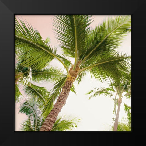 Bright Oahu Palms II Black Modern Wood Framed Art Print by Bill Carson Photography