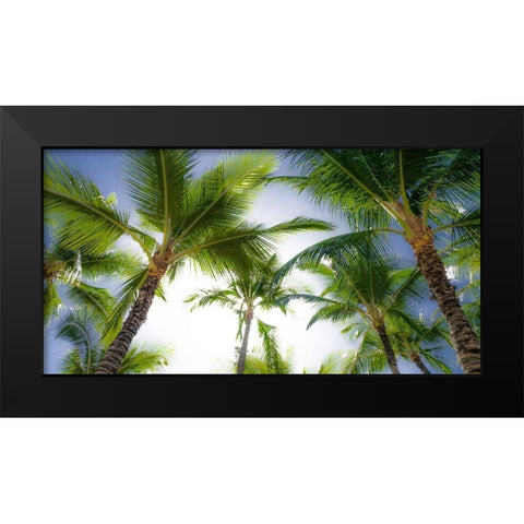 Oahu Palms Black Modern Wood Framed Art Print by Bill Carson Photography