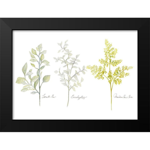 Named Ferns I Black Modern Wood Framed Art Print by Gaynor, Janice