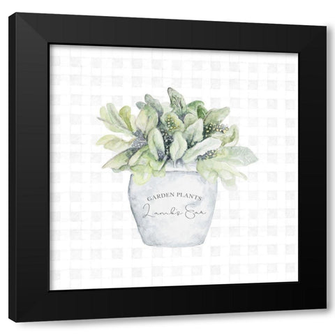 Garden Plants III Black Modern Wood Framed Art Print by Gaynor, Janice