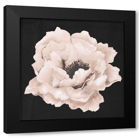 Pink Flower on Black I Black Modern Wood Framed Art Print by Medley, Elizabeth