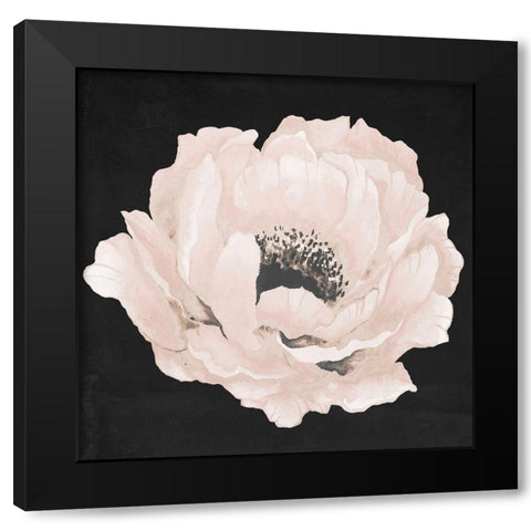 Pink Flower on Black II Black Modern Wood Framed Art Print by Medley, Elizabeth