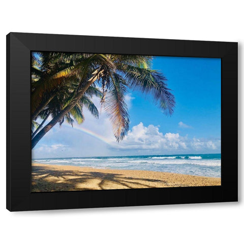 Under the Palms Black Modern Wood Framed Art Print with Double Matting by Acosta