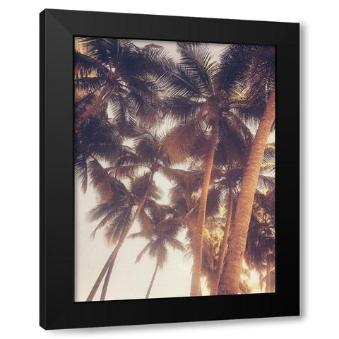 Vintage Palms Black Modern Wood Framed Art Print with Double Matting by Acosta