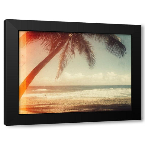 Single Palm Black Modern Wood Framed Art Print by Acosta