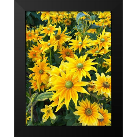 Bright Spring Black Modern Wood Framed Art Print by Jane, Sarah