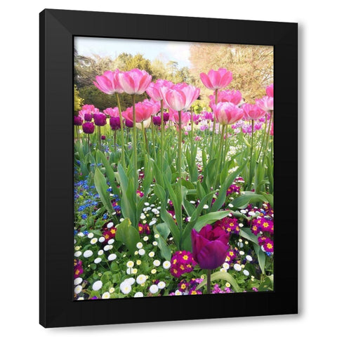 Spring Garden Black Modern Wood Framed Art Print with Double Matting by Jane, Sarah
