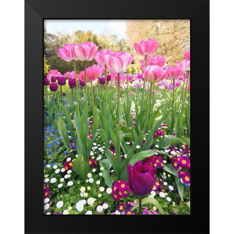Spring Garden Black Modern Wood Framed Art Print by Jane, Sarah