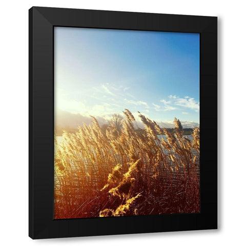 Beach Grass Black Modern Wood Framed Art Print by Jane, Sarah