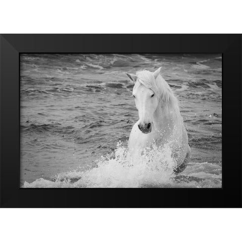Coastal Horse Black Modern Wood Framed Art Print by Walker, Carol