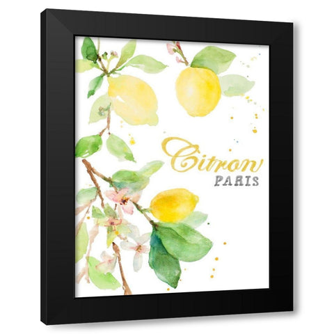 Spring Citron In Paris Black Modern Wood Framed Art Print by Loreth, Lanie