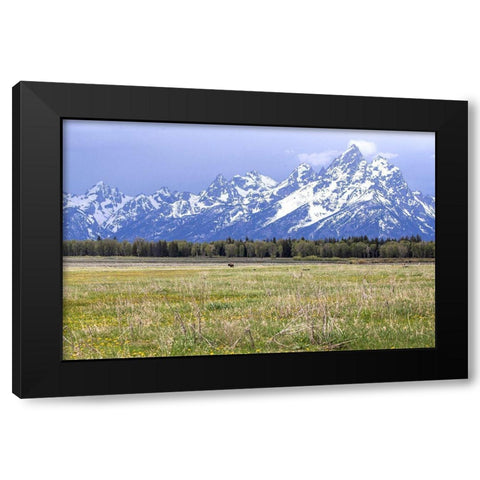 Foothills Black Modern Wood Framed Art Print with Double Matting by Mansfield, Kathy