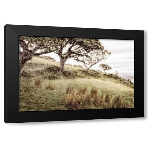 Irish Hillside Black Modern Wood Framed Art Print with Double Matting by Amos, Andy