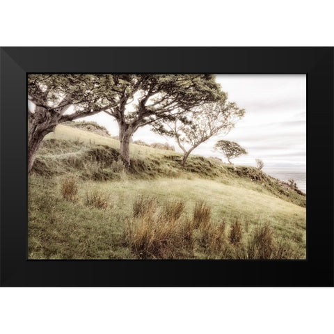 Irish Hillside Black Modern Wood Framed Art Print by Amos, Andy
