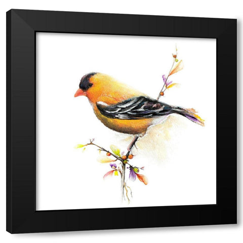 Watercolor Chickadee III Black Modern Wood Framed Art Print with Double Matting by Diannart