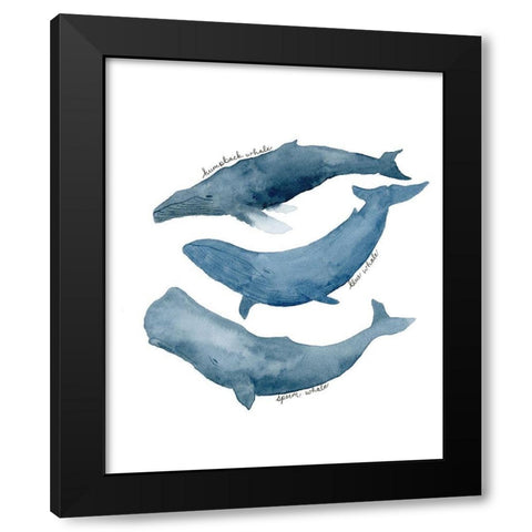 Whale Trio Black Modern Wood Framed Art Print with Double Matting by Price, Lucille