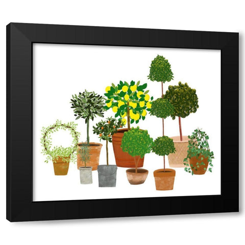 Topiaries Black Modern Wood Framed Art Print with Double Matting by Bucheli, Jen
